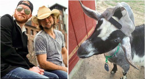 Boys in cowboy hats and goat wearing baseball hat