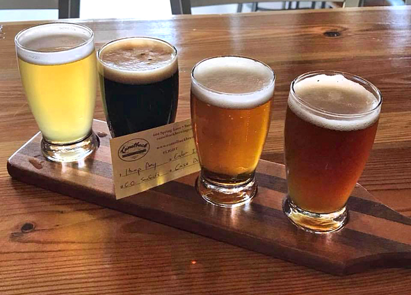 A Look at Camelback Brewing Co. in Sanford : The Sway