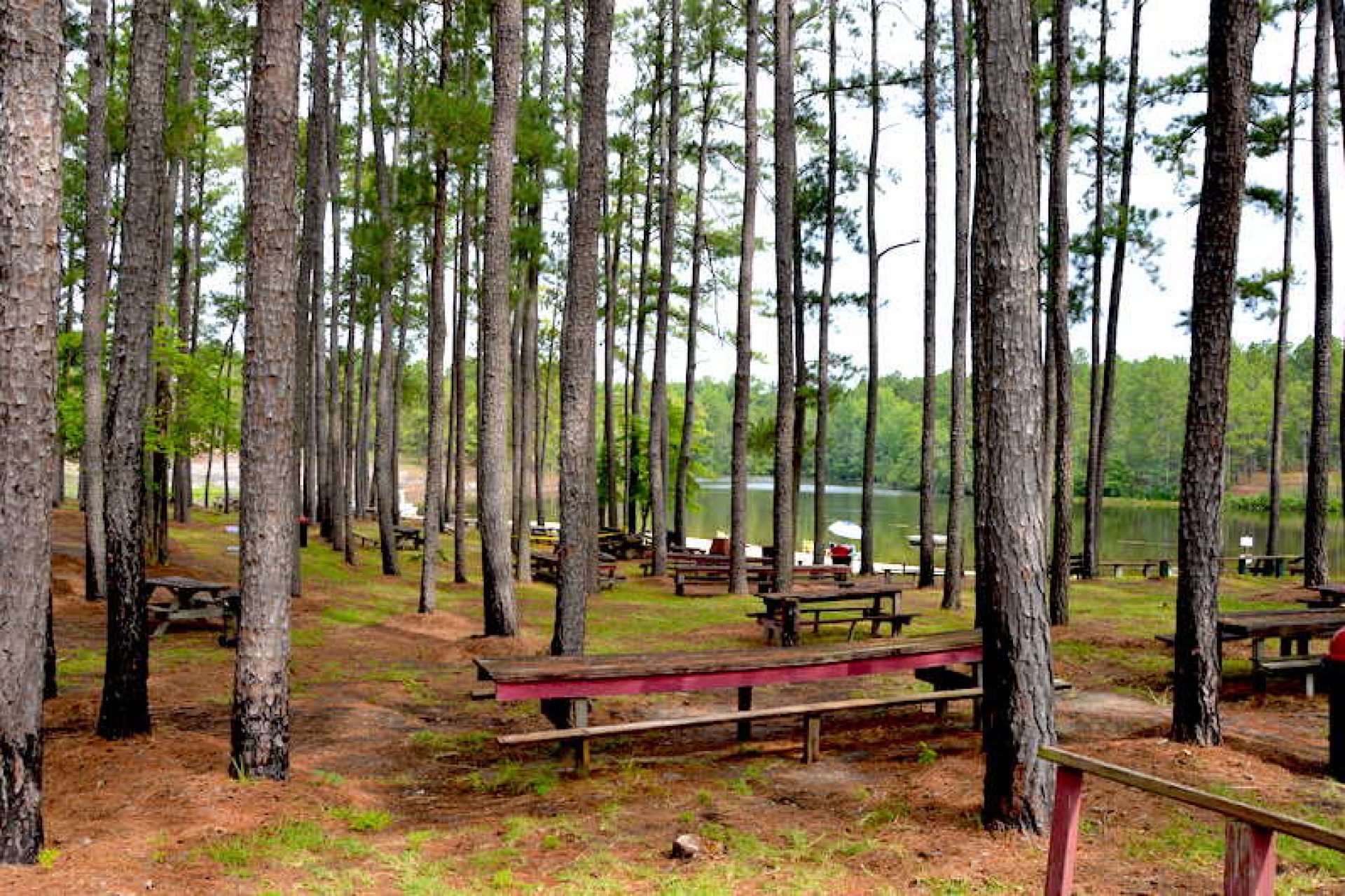 A Look at Pinebluff's Cardinal Park : The Sway