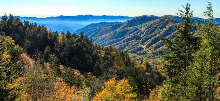 Our Favorite Spots in the North Carolina Mountains