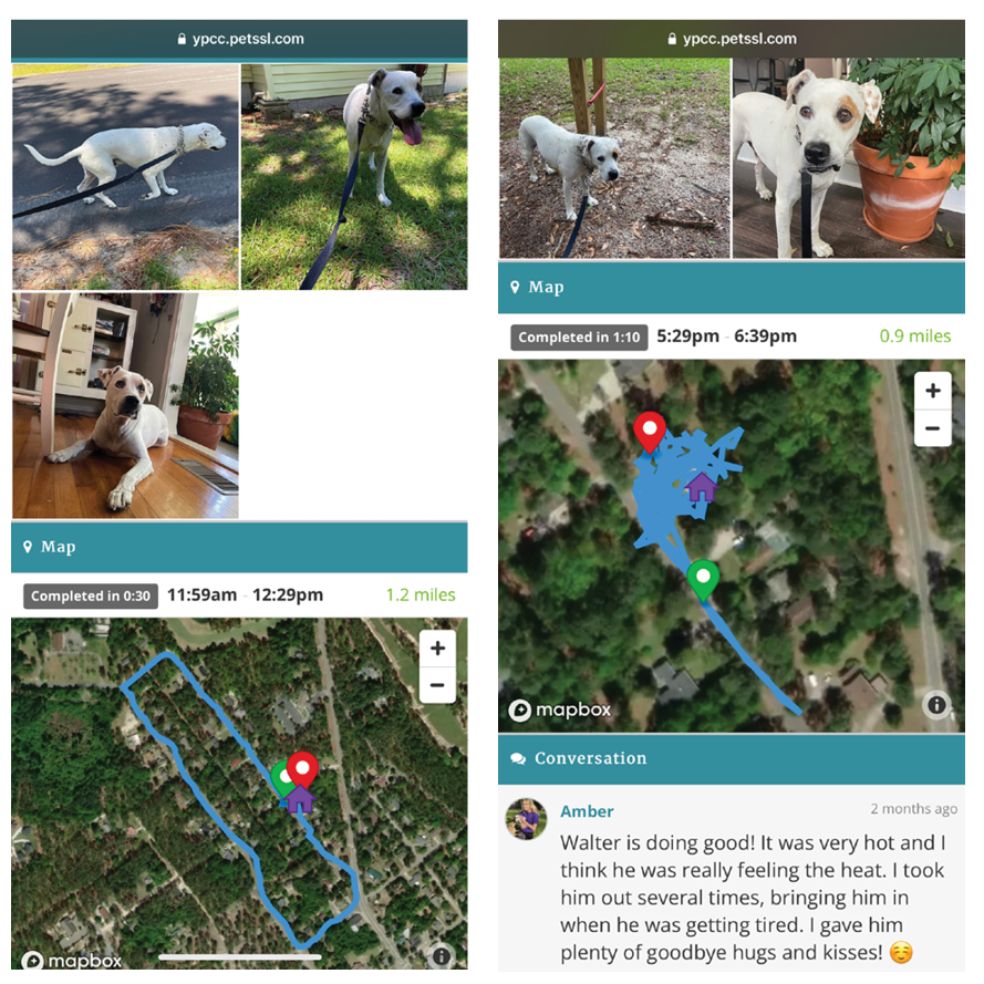 Meet the Ultimutt Pet Care Team The Sway