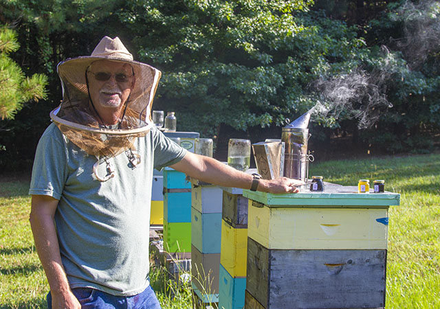 Local Beekeeper Hits Gold with Purple Honey : The Sway
