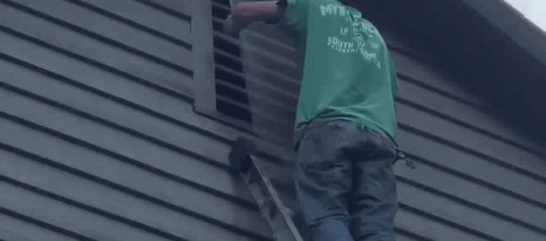 SwayTake: My Attic Went Batshit 