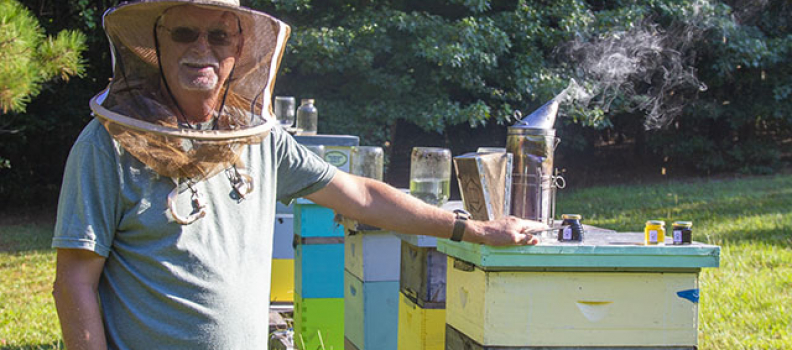 Local Beekeeper Hits Gold with Purple Honey