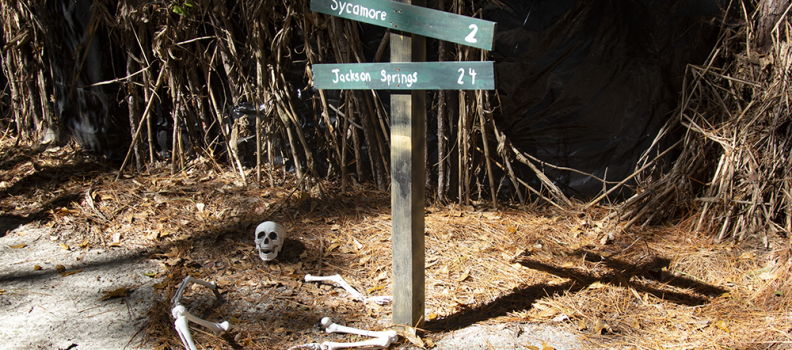The Haunted Forest at Sycamore Lodge is Simply Eerie-sistable
